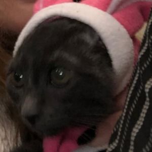 Meet your Posher, Lena